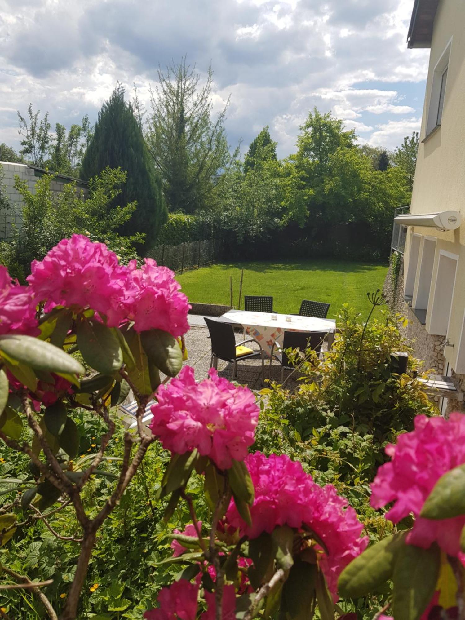 Kreuzau Ferienwohnung Im Rurtal מראה חיצוני תמונה